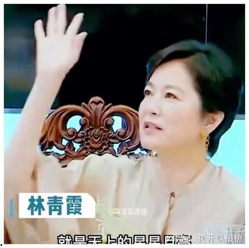 娱乐圈哪里吃瓜最真实,娱乐圈真实吃瓜指南